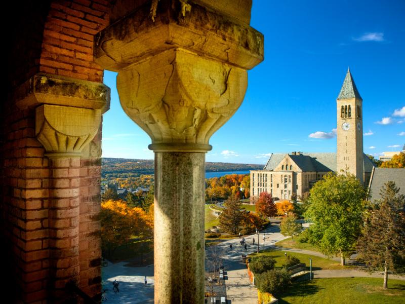 Cornell Landscape and McGraw Tower