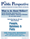 What to Do About Welfare and Social Security?