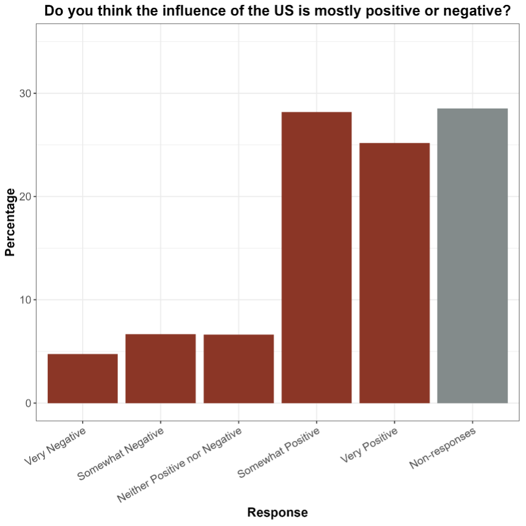 Do you think the influence of the US is mostly positive or negative?