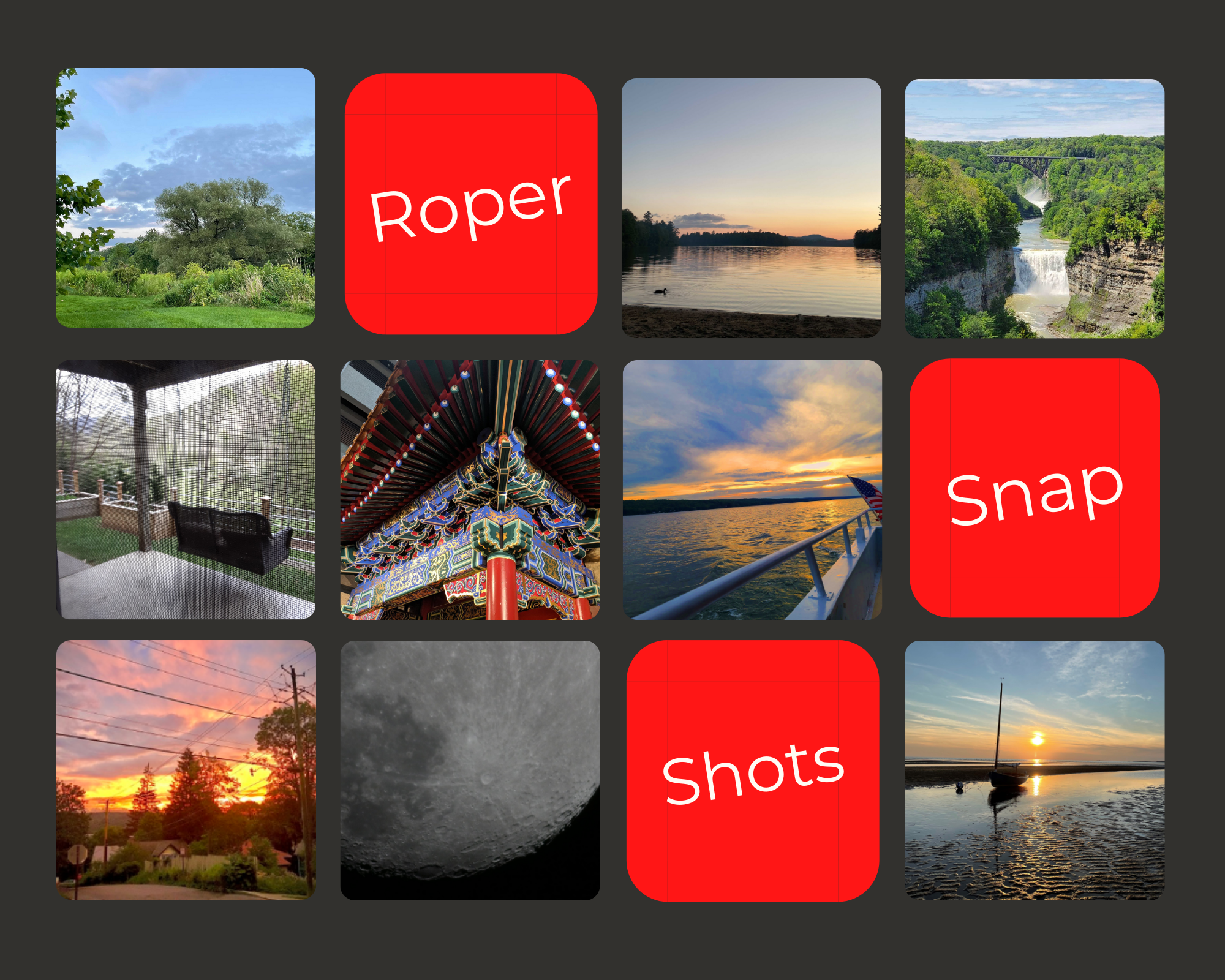Roper Snapshots