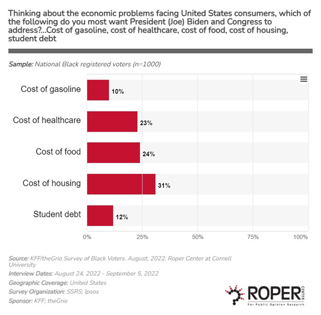 Figure 1: Leading Economic Problems Indicated by Black Voters