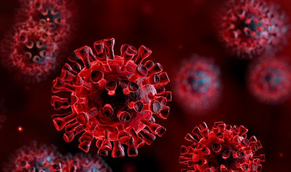 virus