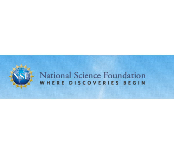 NSF logo
