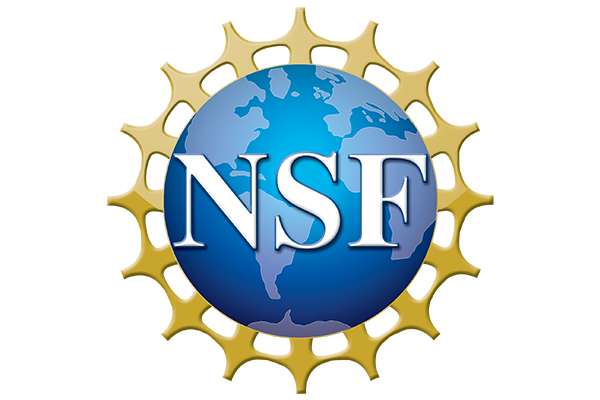 NSF logo