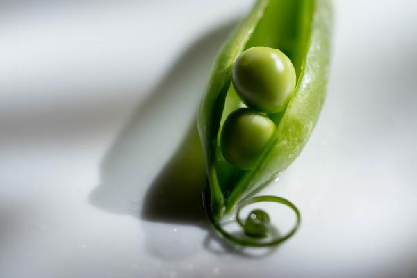 Peas in a Pod