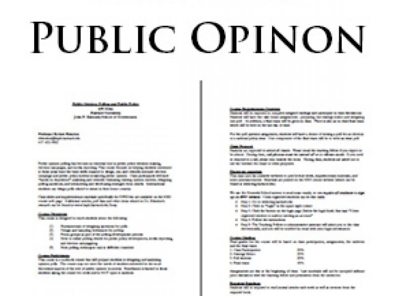 Syllabi in Public Opinion