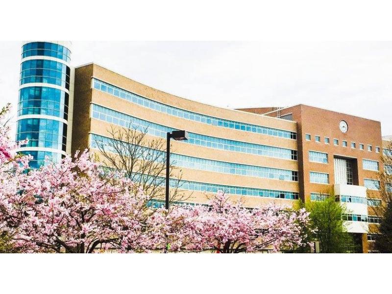 Roper Center at Cornell