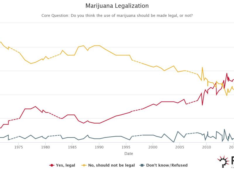 marijuana trend