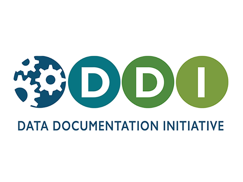 DDI logo