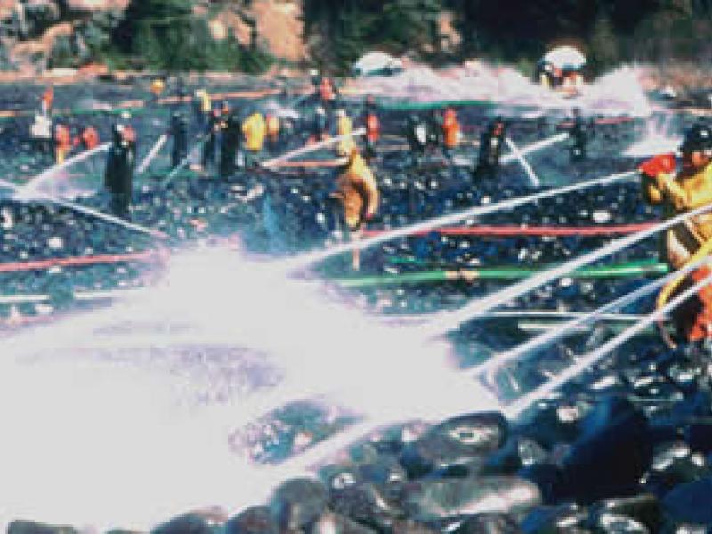 Exxon Valdez oil spill