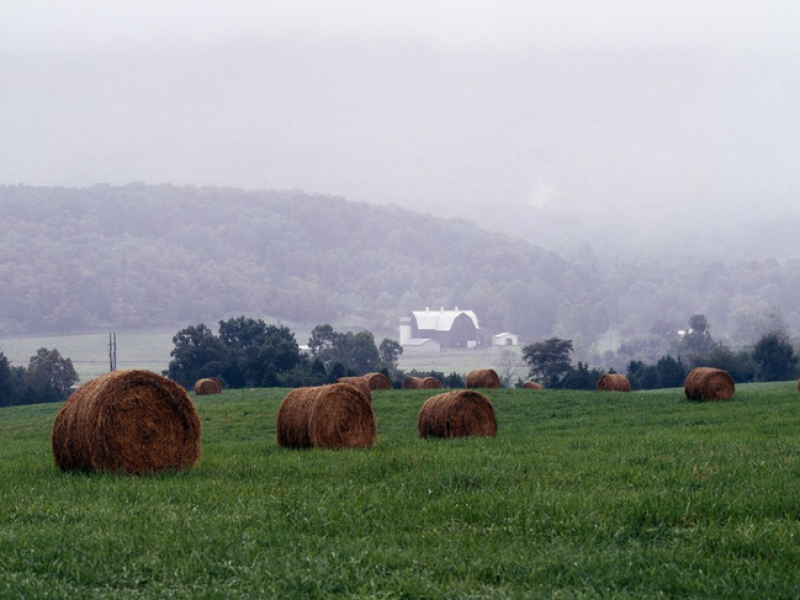 Concerns of Rural America
