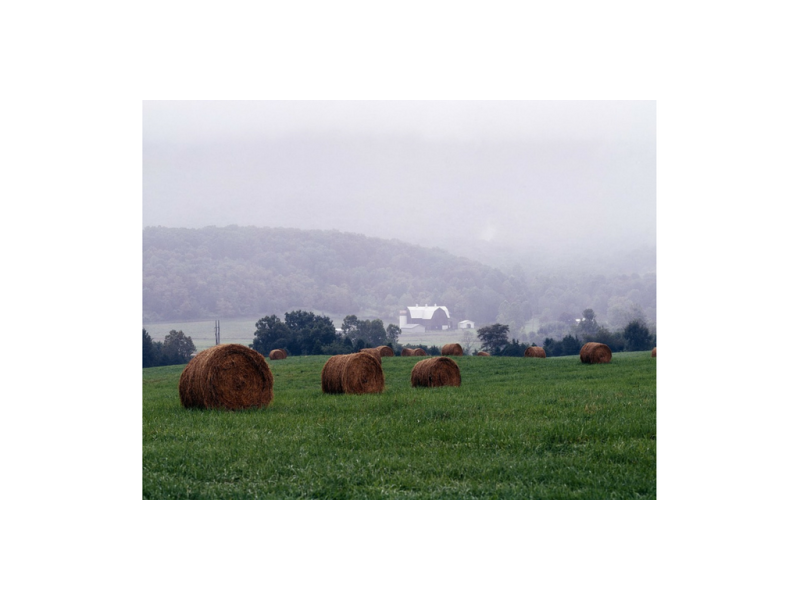 Concerns of Rural America