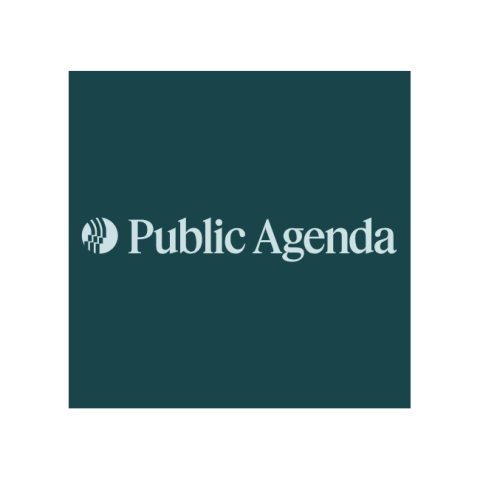 public agenda