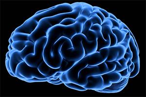 Brain in blue - image