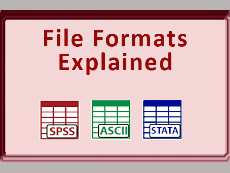 File Formats Explained image