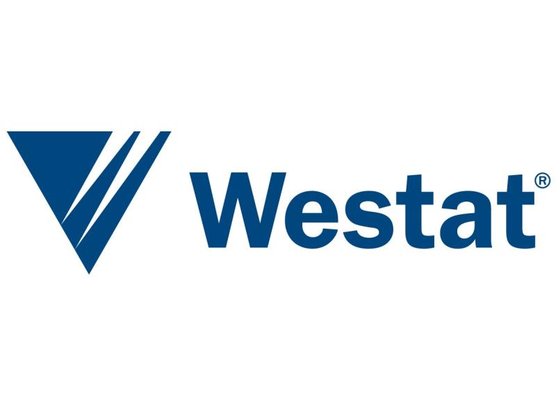 Westat logo, upsdie down triangle with two slits making a "w"